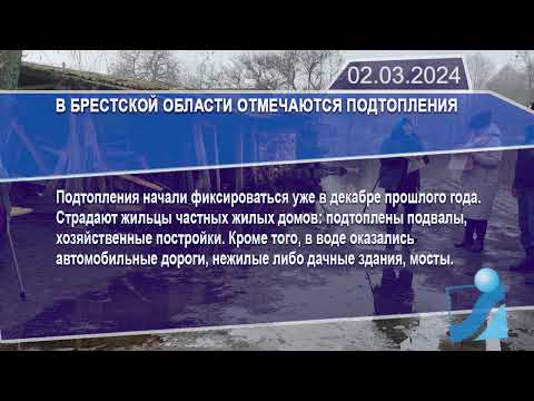 Новостная лента Телеканала Интекс 02.03.24.