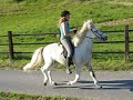 here is Jane and her horse doing toelt (tölt, tölt), one of the five gaits of Icelandic horses.