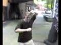 Dancing Richard