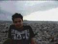 humpty dumpty s frns