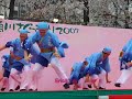 Kamogawa Sakura Matsuri