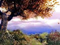 YouTube - Isaac Shepard - "Leaves In The Wind"