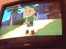 loz the wind waker glitch infinte soup and fairy