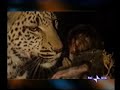 INCREDIBILE: un leopardo adotta un cucciolo di scimmia! INCREDIBILE: un leopardo adotta un cucciolo di scimmia!