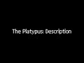 The Platypus: Description