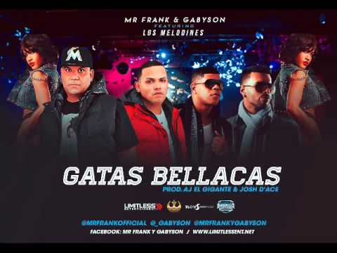 Gatas Bellacas - Los Melodines Ft Mr. Frank y Gabyson