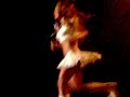 rbd concierto rumania algun dia