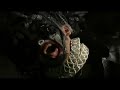 Eternal Deformity - Thor\