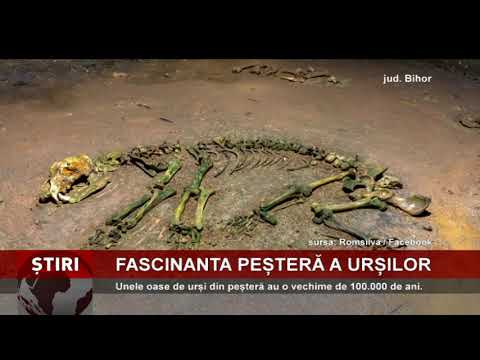 Invitație la un tur virtual, în Peștera Urșilor