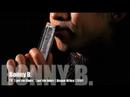 bonny b blues harmonica workshop blues hohner harp cours d'harmonica suisse fribourg clip harmonica blues meilleur the best harp player