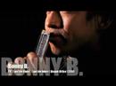 bonny b blues harmonica workshop blues hohner harp cours d'harmonica suisse fribourg clip harmonica blues meilleur the best harp player
