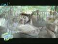 Till I Met You- Regine Velasquez