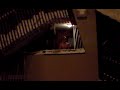 LSD 25 à Avoriaz.AVI LSD 25 à Avoriaz.AVI