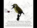 pleci materi ziper wik wik cerr panjang pedes/ARI ALIKA KICAUAN CHANEL