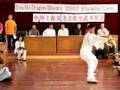 Double Dragon Alliance Masters from China