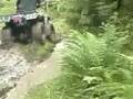 Dodda på skogs-stigen ATV Offroad