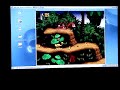 SONY PLAYSTATION 3 - SNES EMULATOR ON LINUX - Donkey Kong