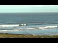 Porthcawl Surf - Video Clips