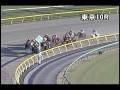 videos de [パトロールビデオ] 081122 5東京5 10R 銀嶺ステークス