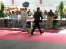 Exposicion Internacional Canina Las Palmas 07