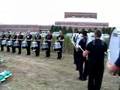 Cavies Bassline 2006