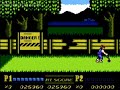nesguide.com - captured from an actual nes console and cartridge.