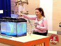Man Drinks Fish
