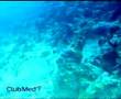 UTT and Sririta in Maldives Part2 (in thai)