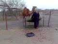 في عزب وصحراى وسيح وعزبة محمد السناني  في عمان الباطنه الخابوره السرحات الوثبه بني ياس بوظبي شباب تفحيط هجوله حلبة العين تخميس فتك 2008 2009 2010استاندر استيشن الجديد كلوزر ماشاء الله اللهم لاحسد سبحان الله
