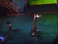 Shamu Rocks parte uno