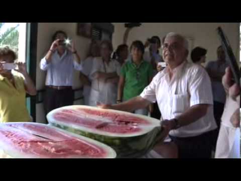 siembra de sandia - El villanovense Antonio González Casillas ha sido el ganador de la LI edición del tradicional concurso de sandías y melones que cada año organiza la Hermanda...