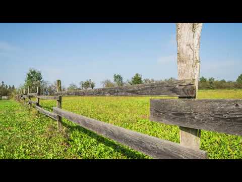 Video Prodej, pozemky/bydlení, 1239 m2, 29404 Prodašice, Mladá Boleslav [ID 63919]