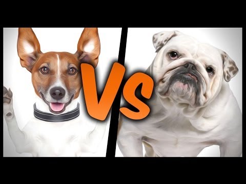 HARD Vs. EASY - Fridays With PewDiePie! (Trials Contest)