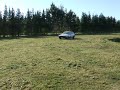 paddock carrola