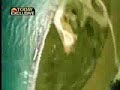 Man Survives 5000 ft Freefall