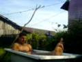 videos de Sesek