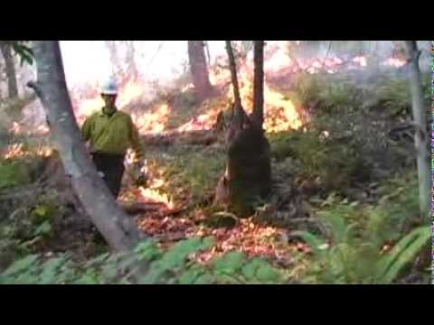 Watch This video