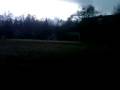 videos de kite flying