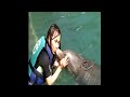 Dolphin Discovery D\