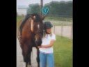 read first!
all theses pics are mine you cant use them
thats was my neighbors horse i rode him everyday from age 5 to 13 
i miss him like crazy
no mean comments please 
but you can comment rank and subscribe 

ziggy♥ i love you more than words can say
