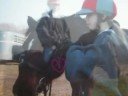 read first!
all theses pics are mine you cant use them
thats was my neighbors horse i rode him everyday from age 5 to 13 
i miss him like crazy
no mean comments please 
but you can comment rank and subscribe 

ziggy♥ i love you more than words can say