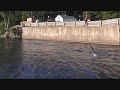 Salmon River NY 9-16-08 Late Report Salmon River NY 9-16-08 Late Report