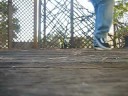 R1cE C-walk \"NAS\" R1cE C-walk \"NAS\"