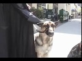 Darth Vader Music Video part 1 XingKai Kaise Pictures