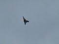 Awsome!!!!!! RAF Typhoon Awsome!!!!!! RAF Typhoon