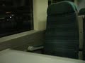 Foxy on the first train out of Bognor Regis