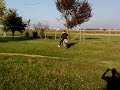 Le grandi derapate di piotti