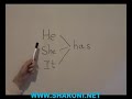 Have Has, English grammer lesson for ESL - Hebrew speakers, Have Has, English grammer lesson for ESL - Hebrew speakers,