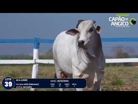 9 De Olho na Fazenda Capo do Angico