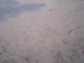 The Way to Jusco-the beginning-